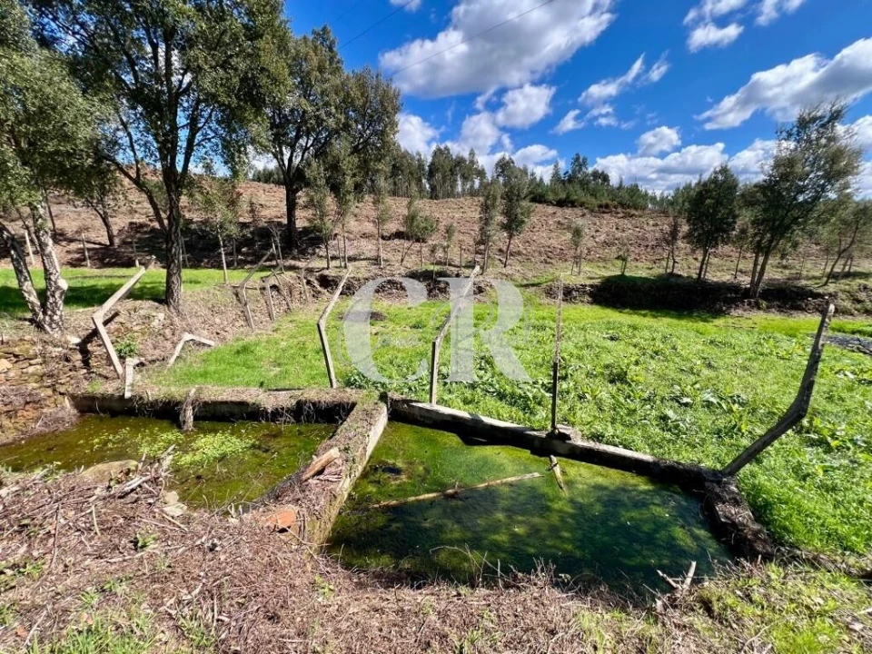 Moradia T2 para Venda em Graça Foto 24