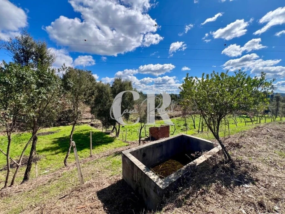 Moradia T2 para Venda em Graça Foto 33