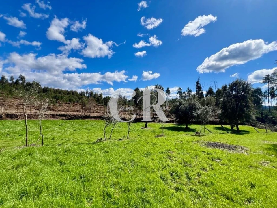 Moradia T2 para Venda em Graça Foto 8