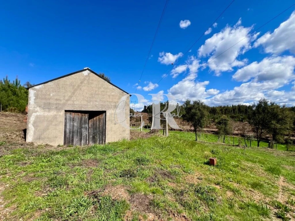 Moradia T2 para Venda em Graça Foto 39