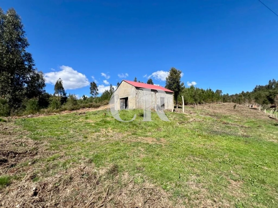 Moradia T2 para Venda em Graça Foto 5