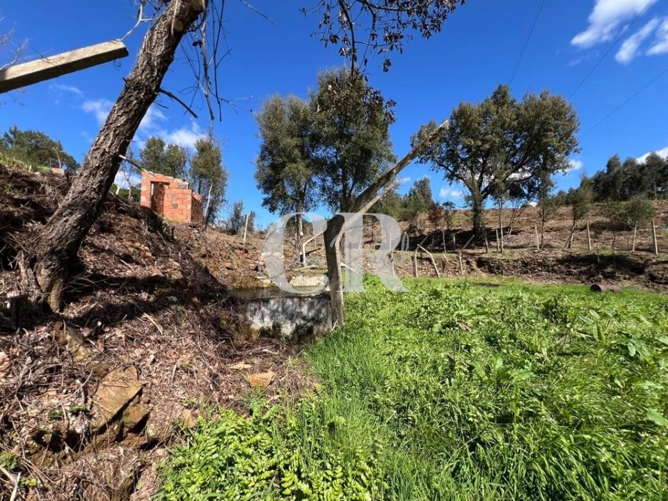 Moradia T2 para Venda em Graça Foto 19