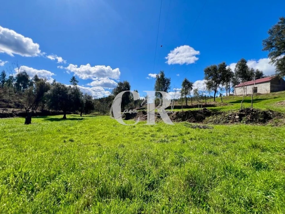 Moradia T2 para Venda em Graça Foto 15