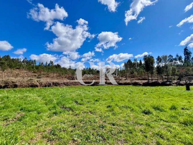 Moradia T2 para Venda em Graça Foto 22