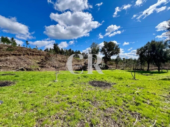 Moradia T2 para Venda em Graça Foto 31