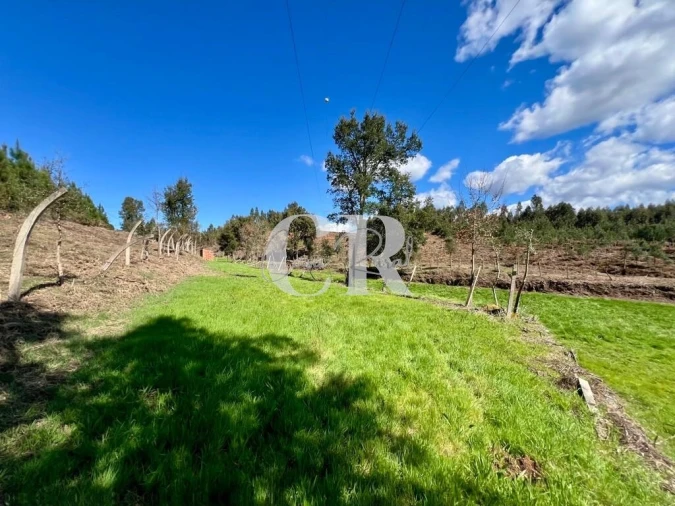 Moradia T2 para Venda em Graça Foto 23