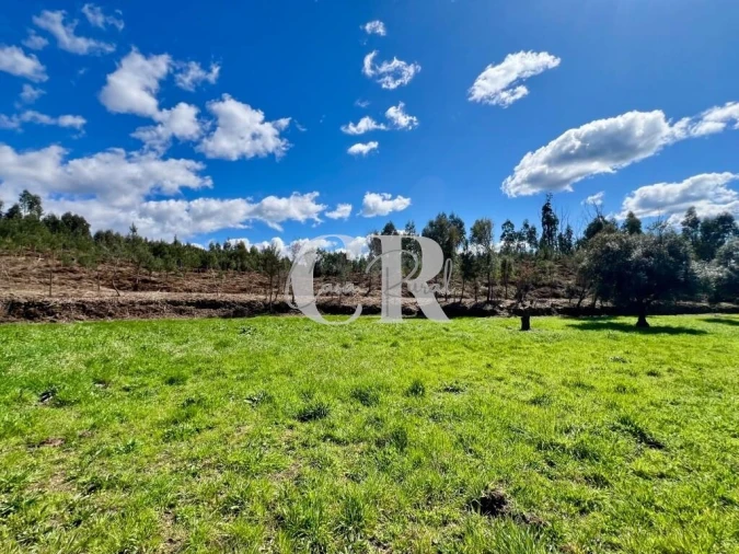 Moradia T2 para Venda em Graça Foto 9