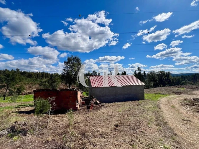 Moradia T2 para Venda em Graça Foto 37