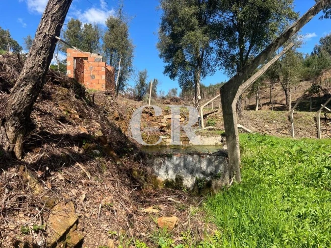 Moradia T2 para Venda em Graça Foto 20