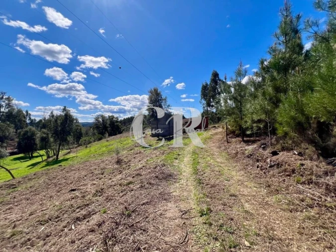 Moradia T2 para Venda em Graça Foto 35