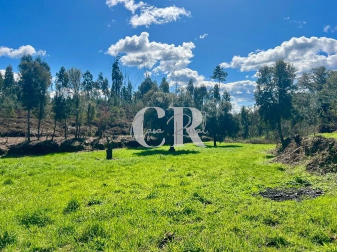 Moradia T2 para Venda em Graça Foto 21