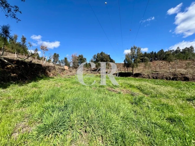 Moradia T2 para Venda em Graça Foto 17