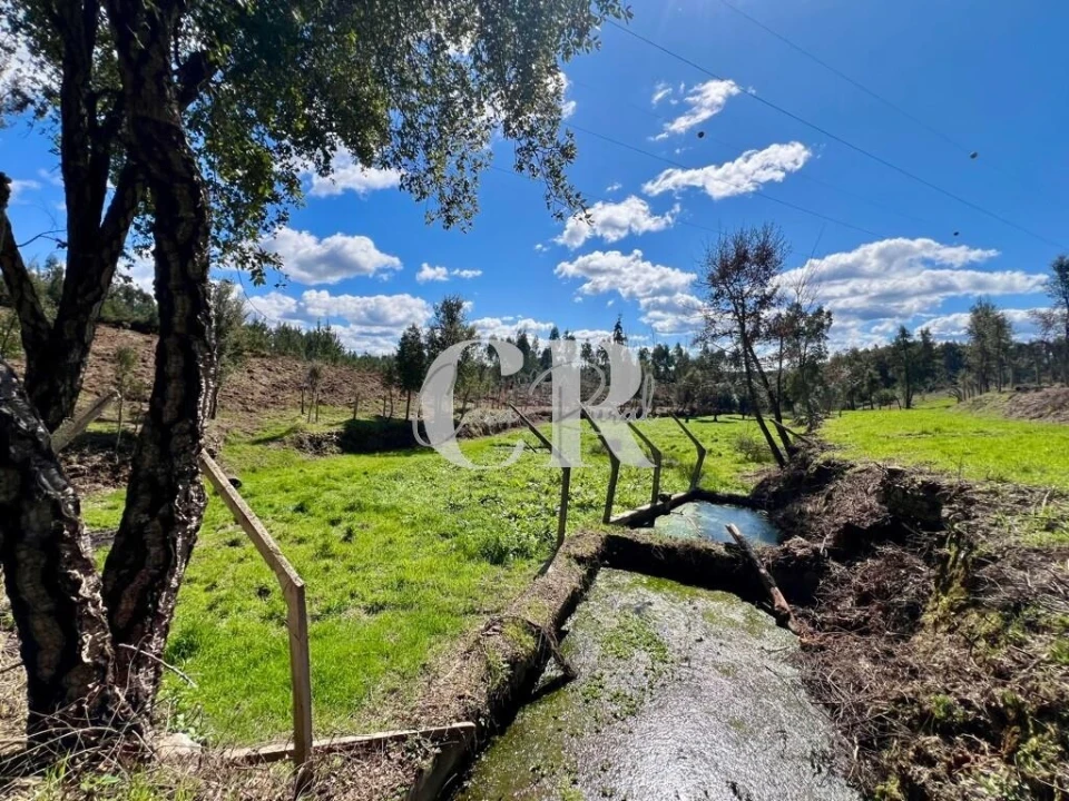 Moradia T2 para Venda em Graça Foto 27