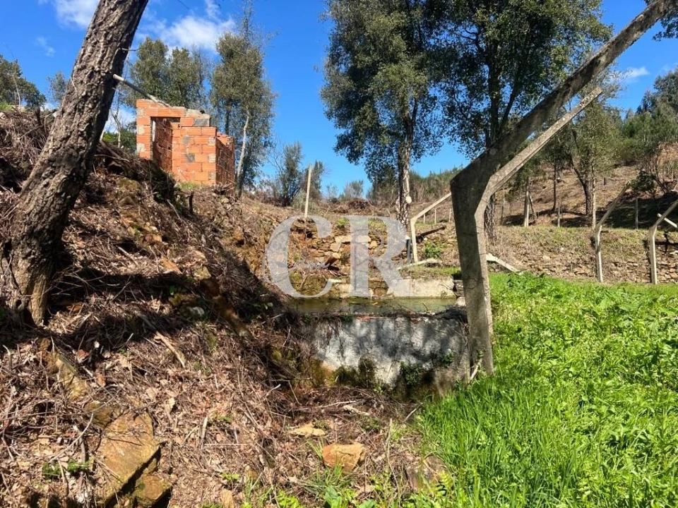 Moradia T2 para Venda em Graça Foto 20