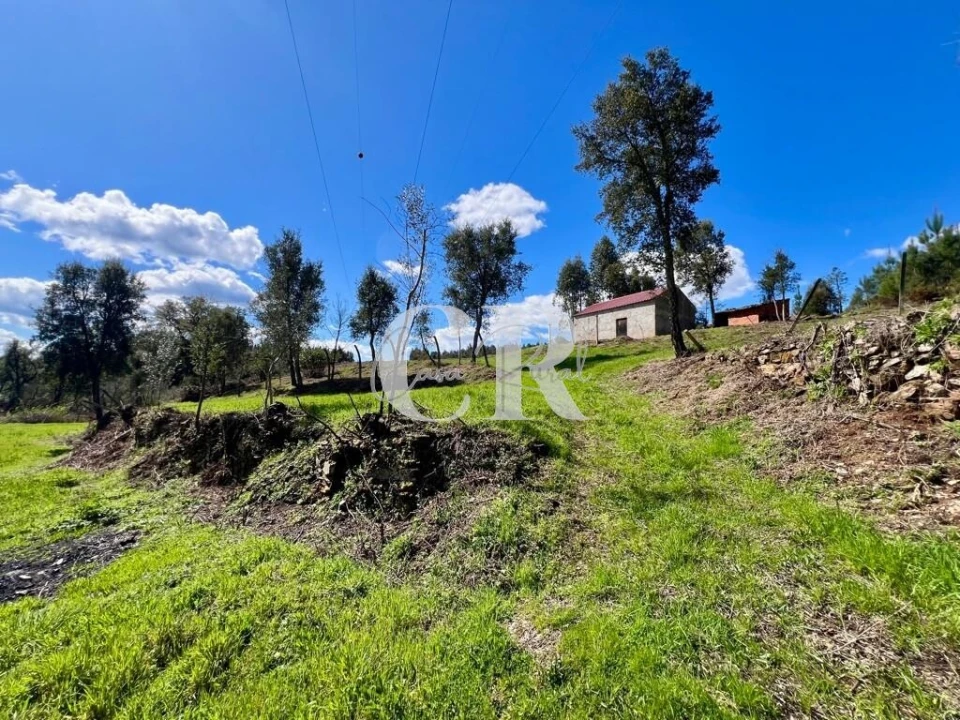 Moradia T2 para Venda em Graça Foto 10