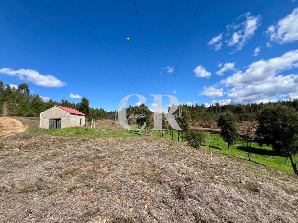 Moradia T2 para Venda em Graça Foto 4