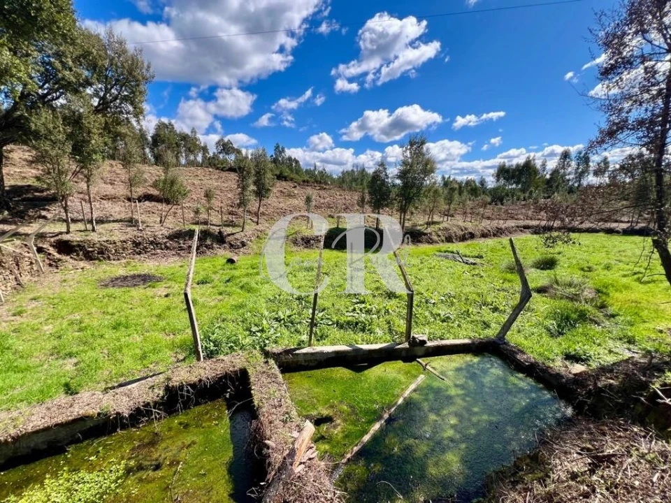 Moradia T2 para Venda em Graça Foto 26