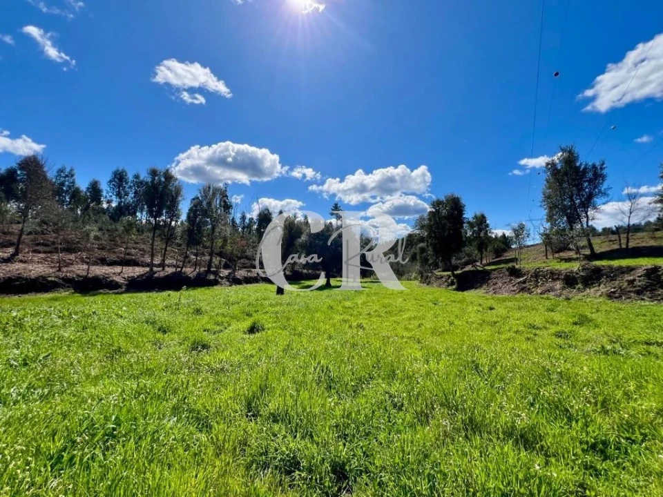 Moradia T2 para Venda em Graça Foto 13