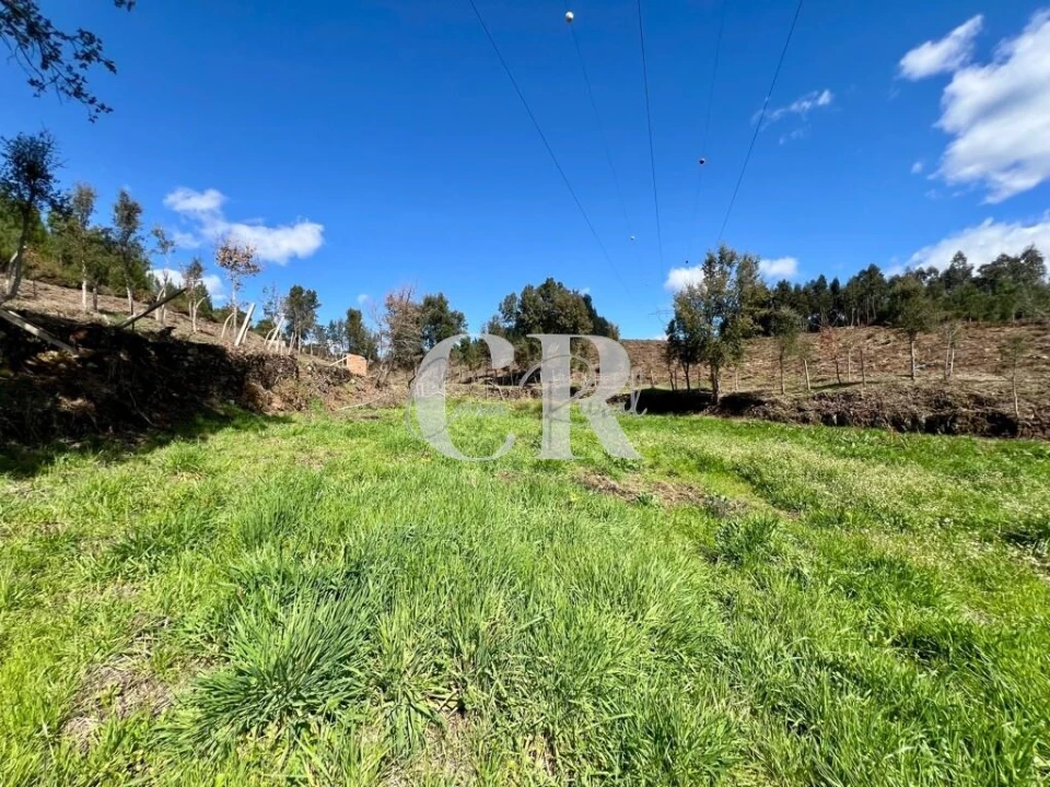 Moradia T2 para Venda em Graça Foto 17