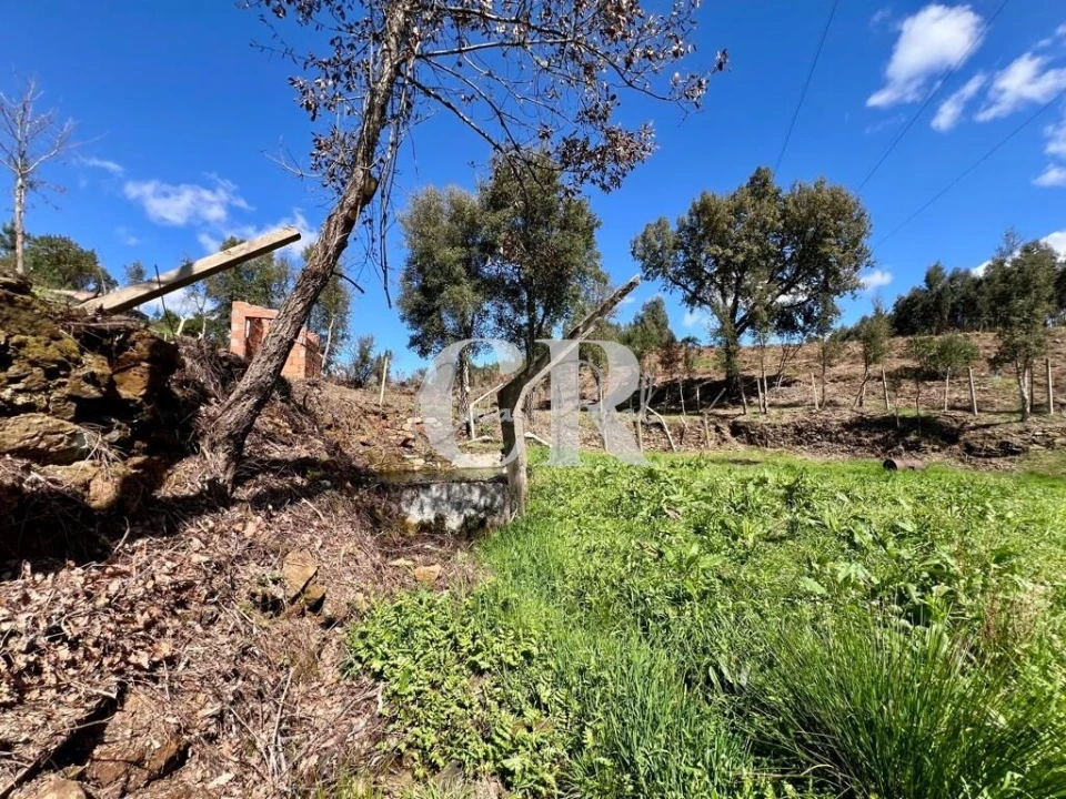 Moradia T2 para Venda em Graça Foto 18