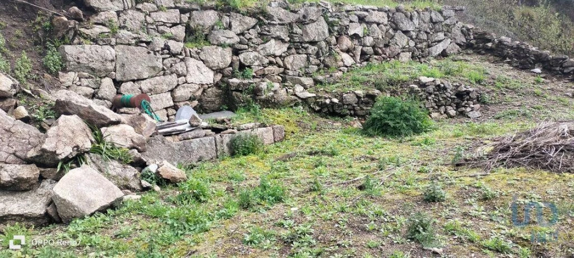 Terreno para Venda em Rio de Moinhos Foto 11