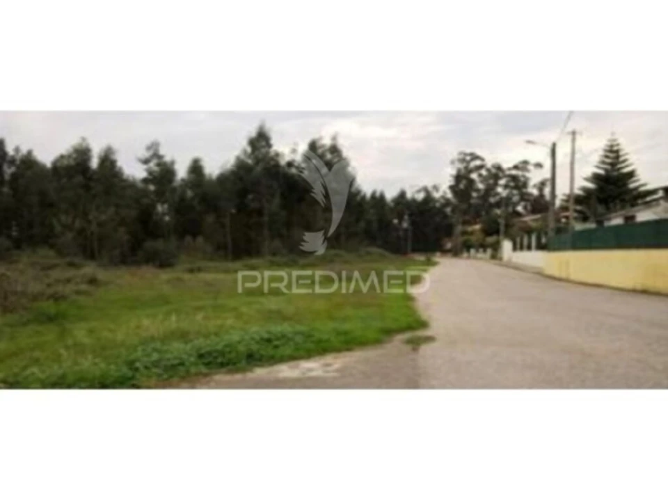 Terreno para Venda em Angeja Foto 2