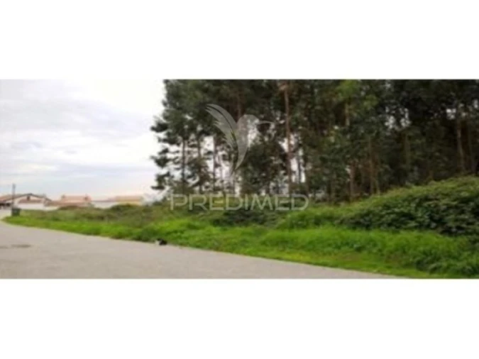 Terreno para Venda em Angeja Foto 1