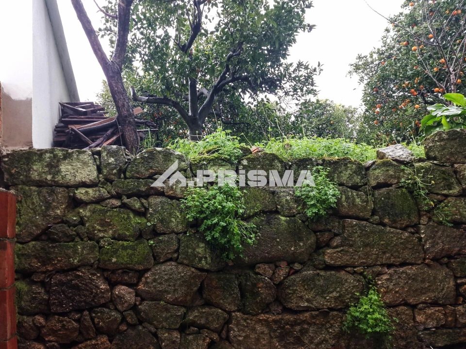 Prédio para Venda em Castelo Branco Foto 30