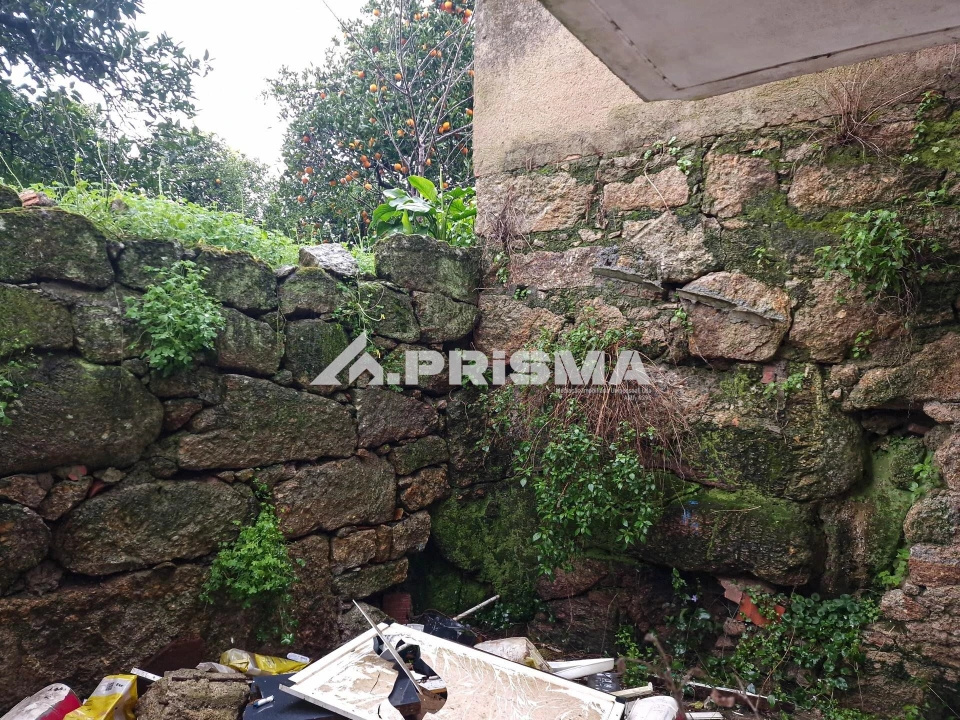 Prédio para Venda em Castelo Branco Foto 29