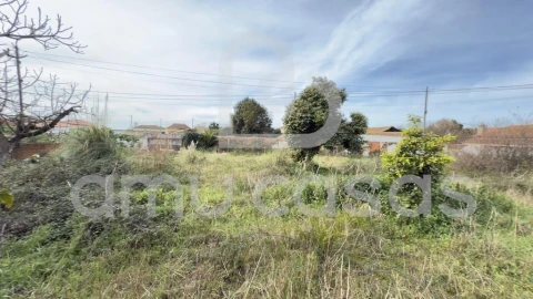 Terreno para Venda em Beduído e Veiros