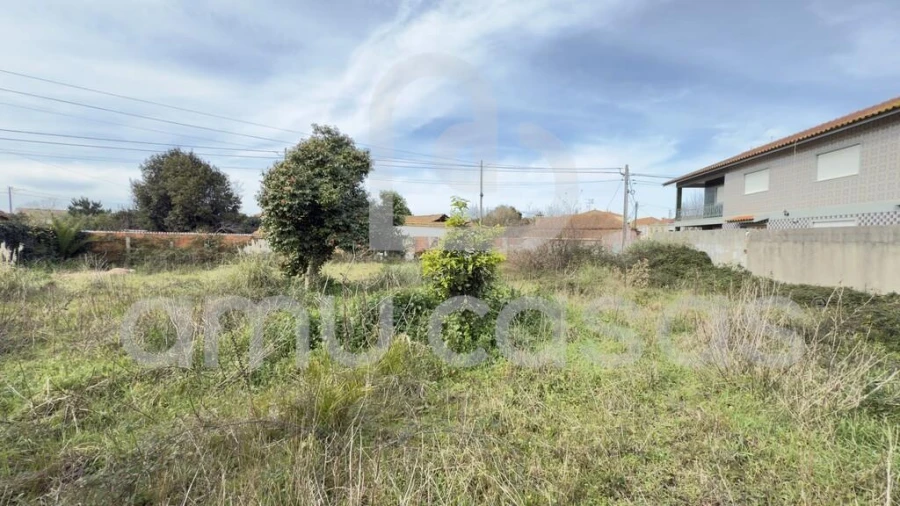 Terreno para Venda em Beduído e Veiros Foto 14