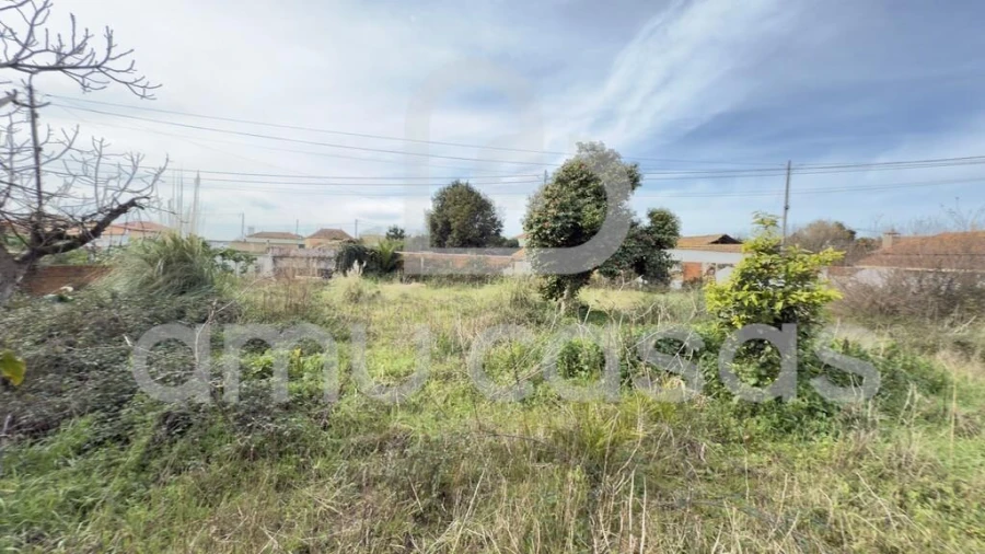 Terreno para Venda em Beduído e Veiros Foto 13