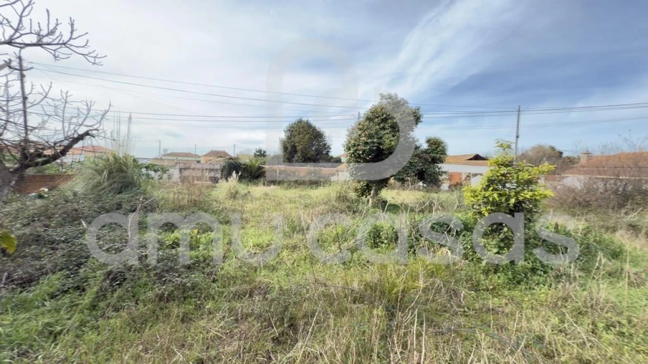 Terreno para Venda em Beduído e Veiros Foto 13
