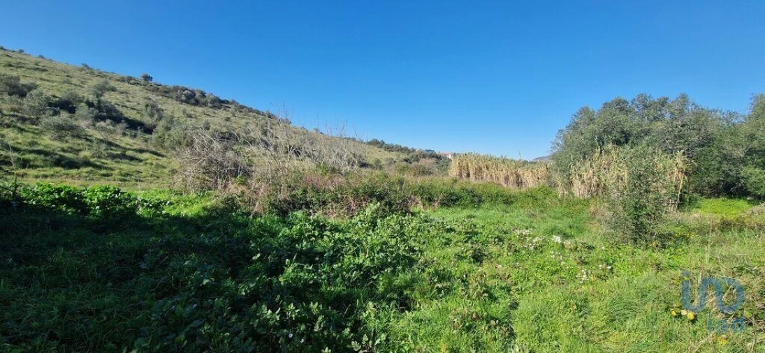 Terreno para Venda em Venda do Pinheiro e Santo Estêvão das Galés Foto 6