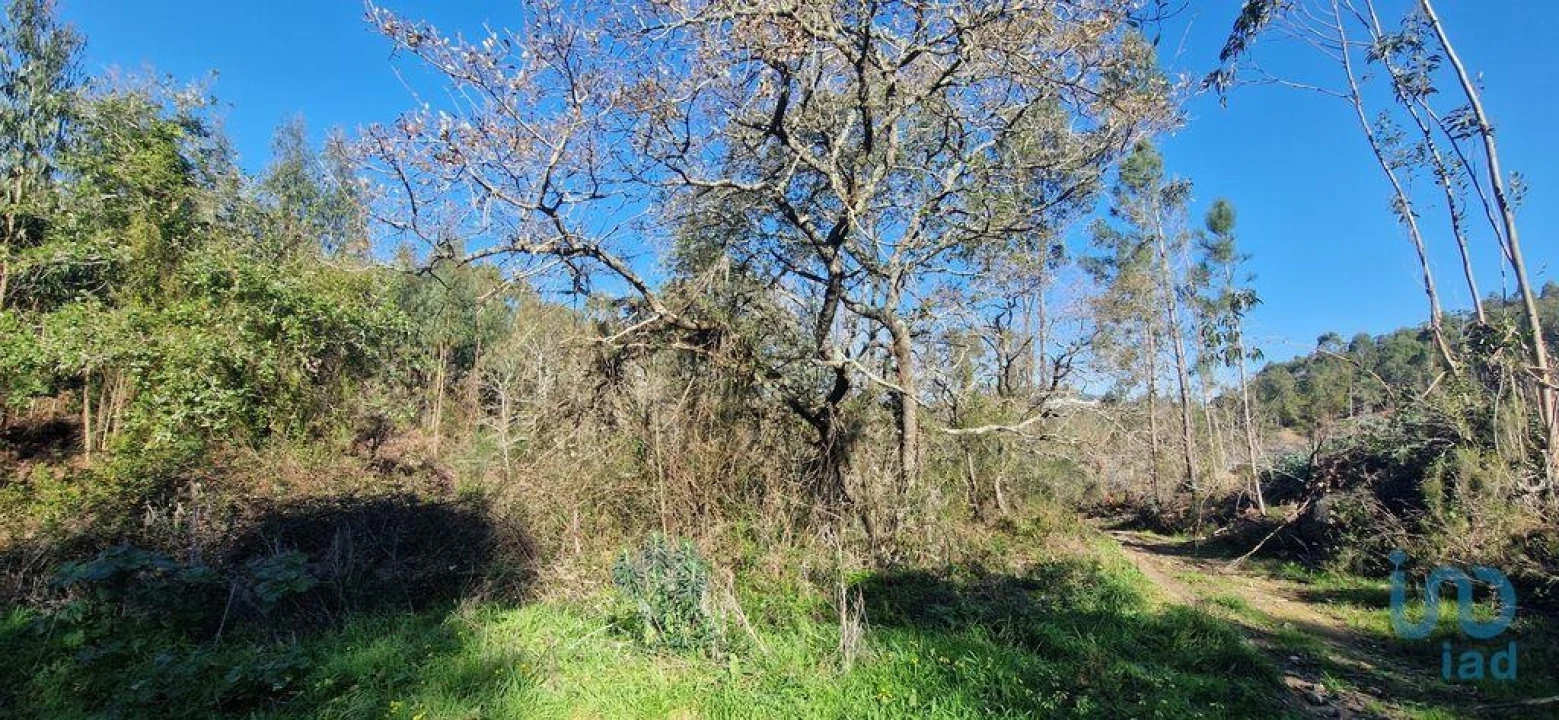 Terreno para Venda em Venda do Pinheiro e Santo Estêvão das Galés Foto 8