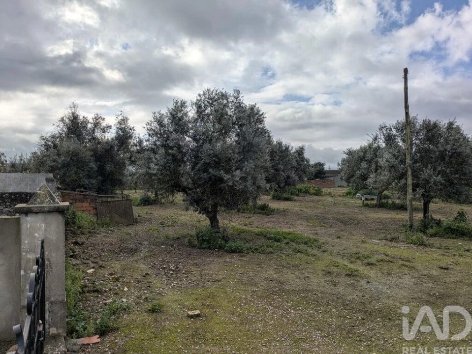 Negócio para Venda em Cano Foto 23