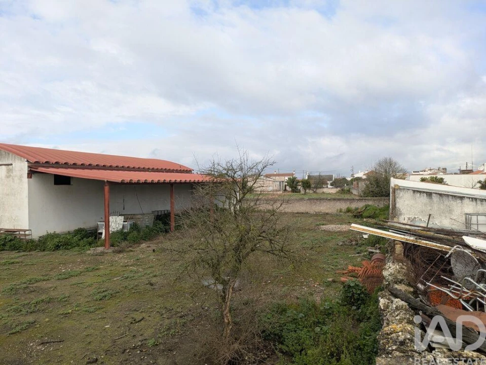 Negócio para Venda em Cano Foto 20