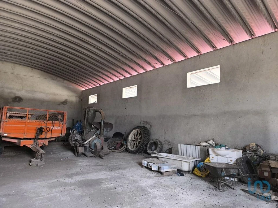 Negócio para Venda em Cano Foto 6