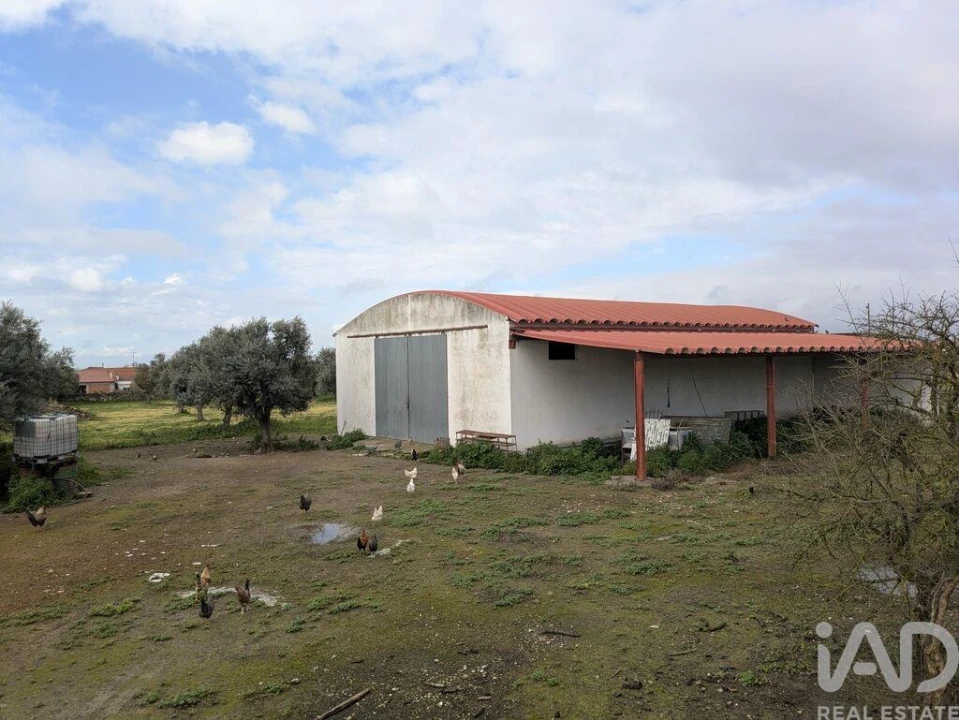 Negócio para Venda em Cano Foto 21