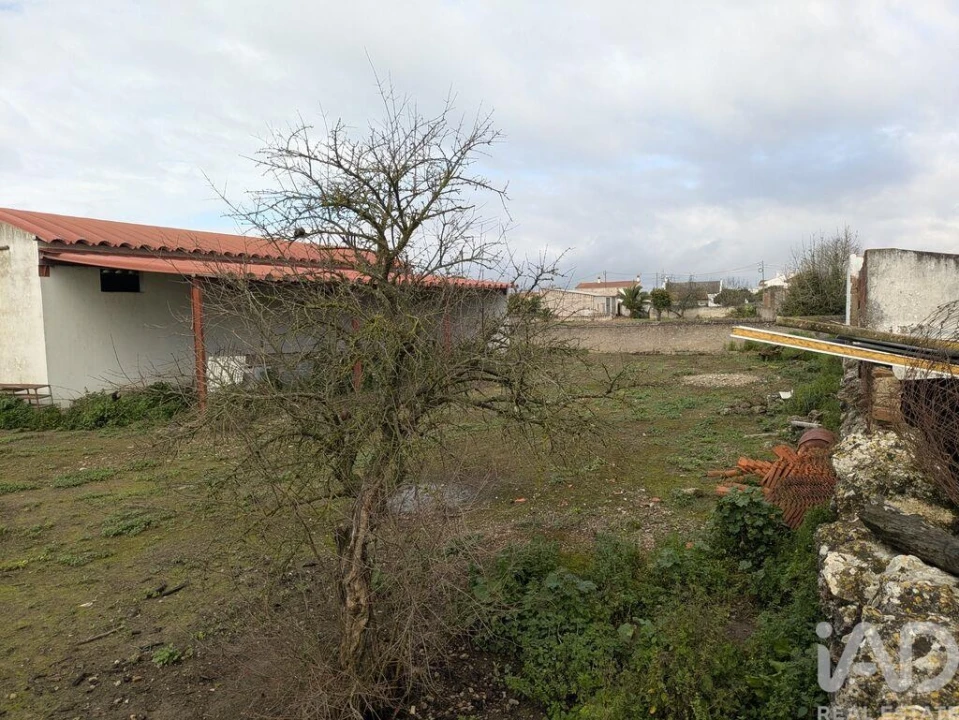 Negócio para Venda em Cano Foto 19