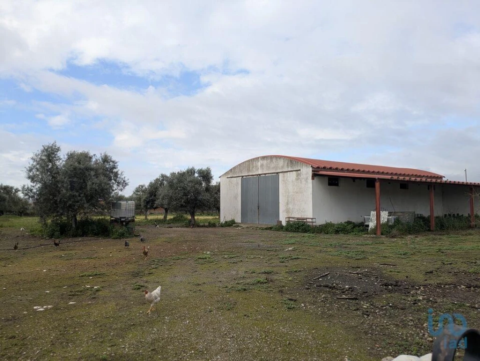 Negócio para Venda em Cano Foto 2