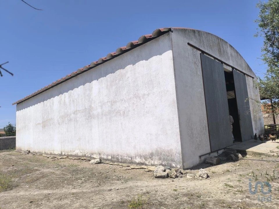 Negócio para Venda em Cano Foto 1