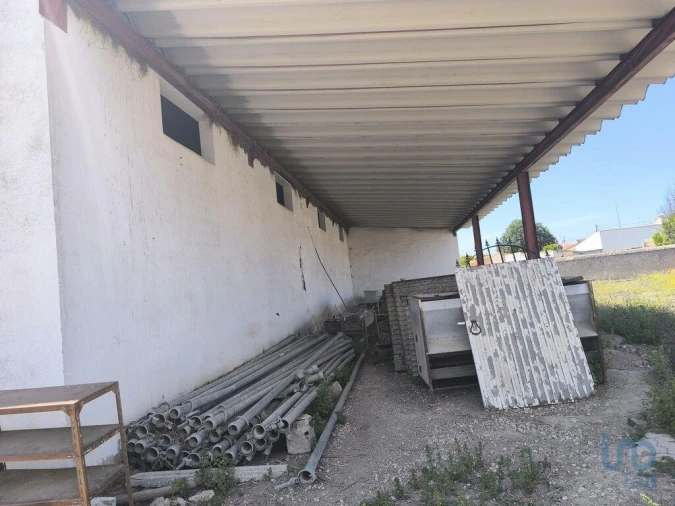 Negócio para Venda em Cano Foto 5