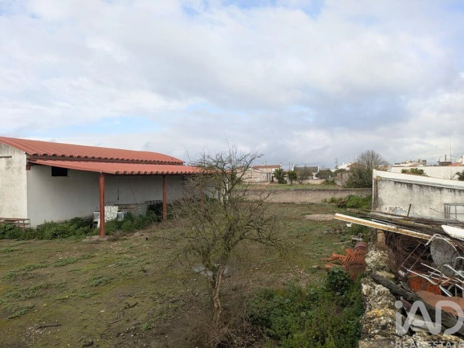 Negócio para Venda em Cano Foto 20