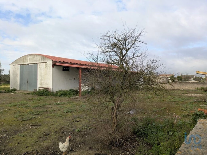 Negócio para Venda em Cano Foto 14