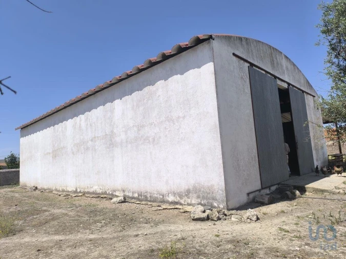 Negócio para Venda em Cano Foto 1