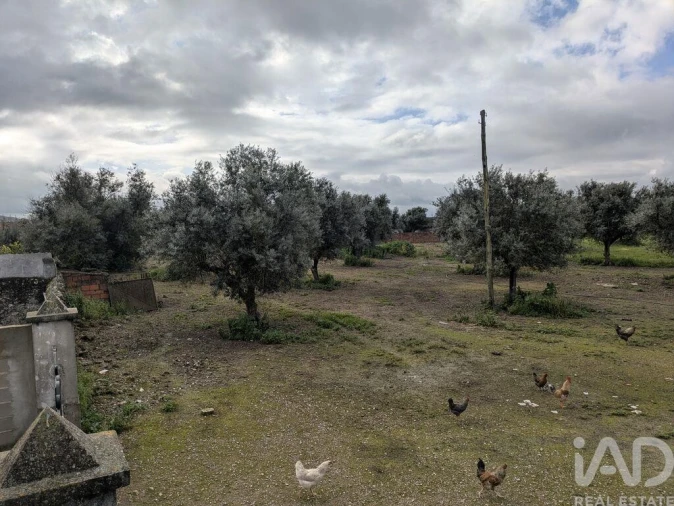 Negócio para Venda em Cano Foto 17