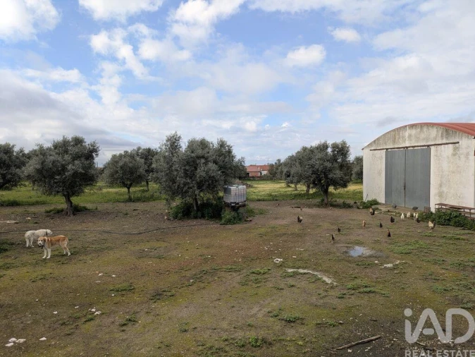 Negócio para Venda em Cano Foto 22