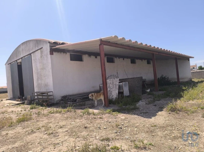 Negócio para Venda em Cano Foto 7