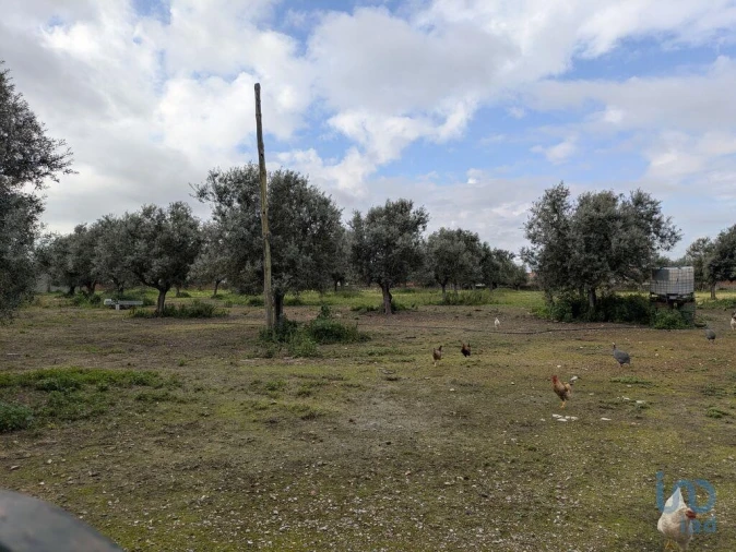 Negócio para Venda em Cano Foto 10